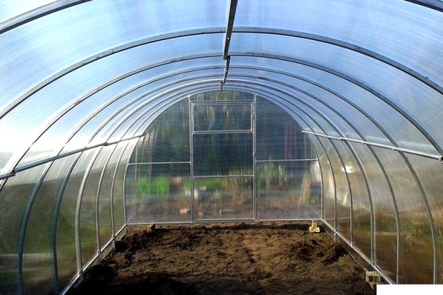 Теплица "БелАгроТех Классик плюс" 4 Теплица "БелАгроТех Классик плюс"