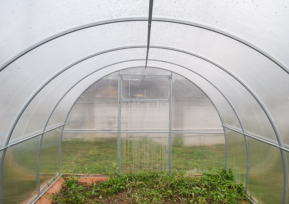 Теплица "Агросфера Стандарт" 11 Теплица "Агросфера Стандарт"