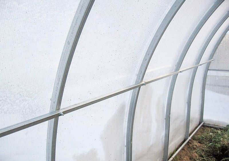 teplitsa_agrosfera_bogatyr-4